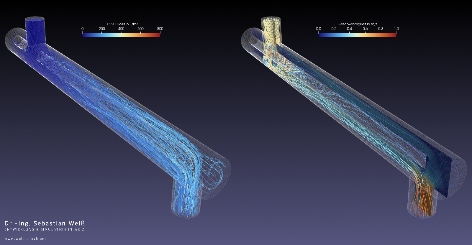 Strömungsfeld und UV-C Dosis in einem UV-C Reaktor